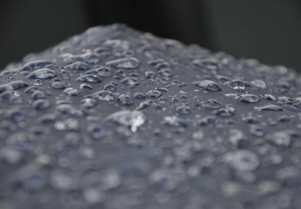resized_36_fallback
