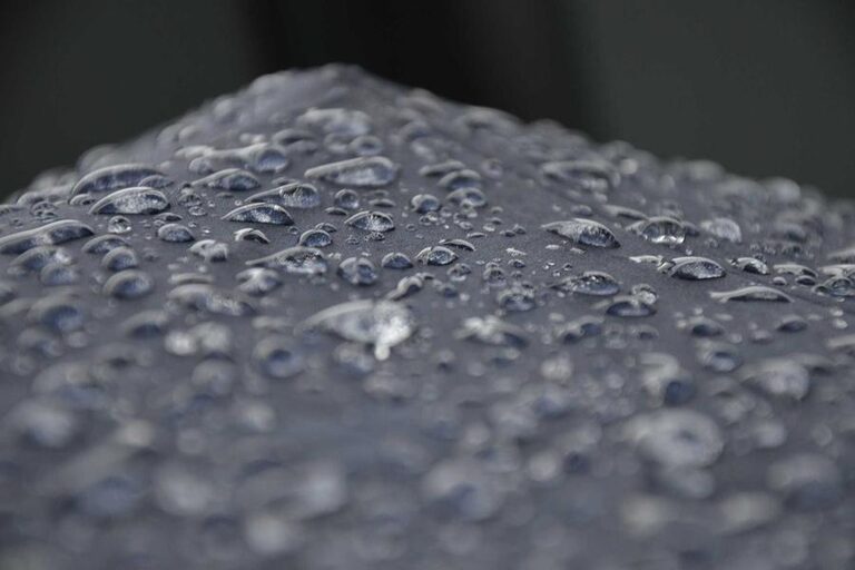 resized_36_fallback