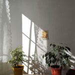 resized_38_api